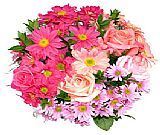 Daisies ...Roses..Daisies