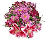 lilies & Gerbers