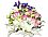 Mixed Assortment