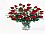 24 Red Roses