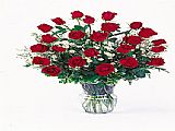 24 Red Roses