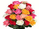 24 Mixed Roses