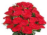 24 Red Roses