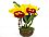 Blc. Chunyeah 